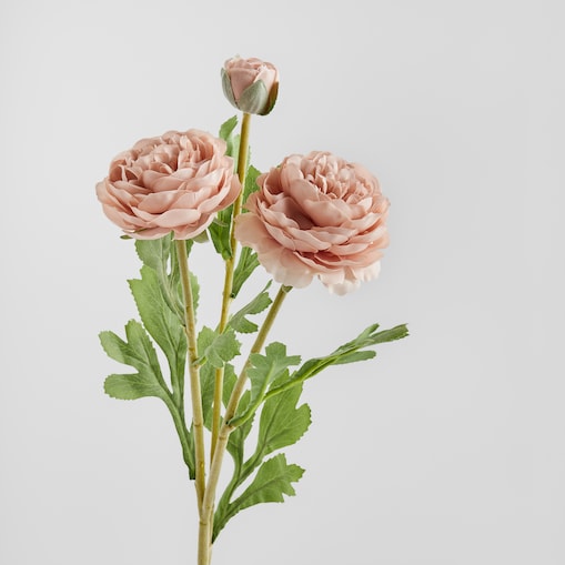 Kwiat Ramoso z motywem kwiatowym