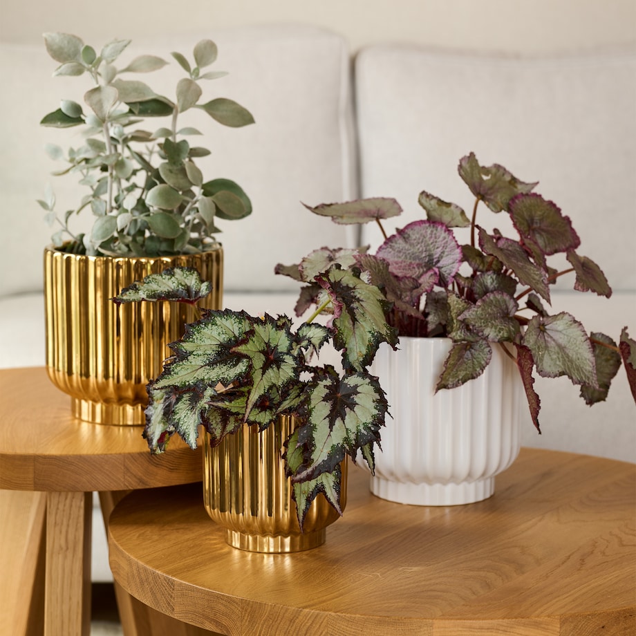 Osłonka Veronique z motywem geometrycznym