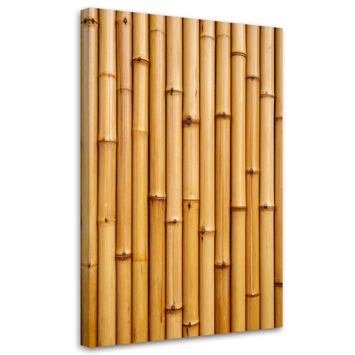 Obraz do salonu biura kuchni, Bambus roślina natura 60x90