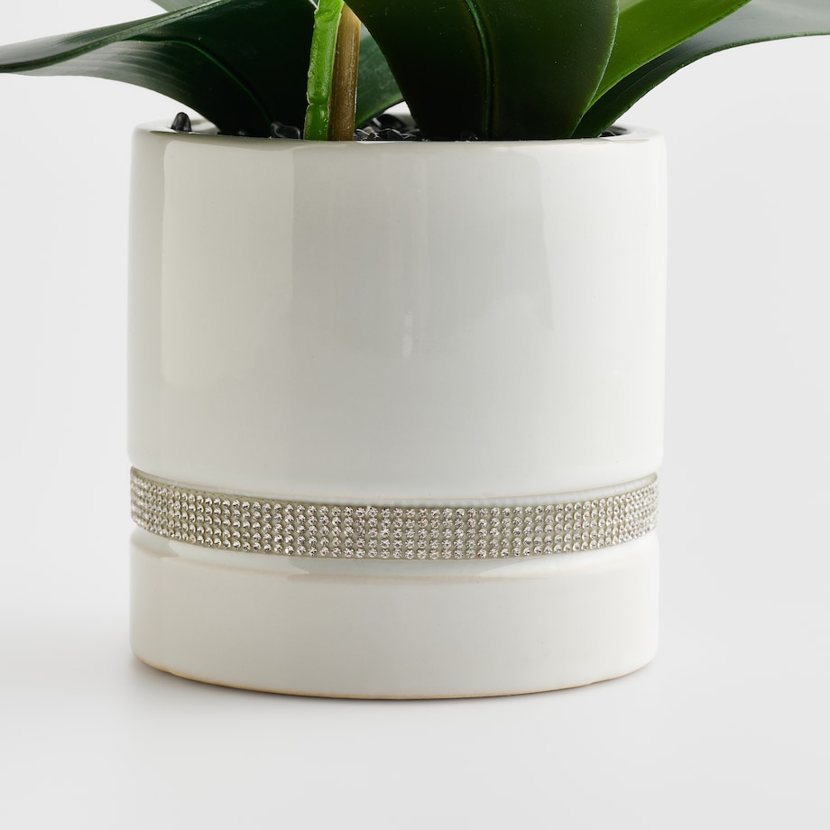 Stroik Orchibitto new z motywem roślinnym