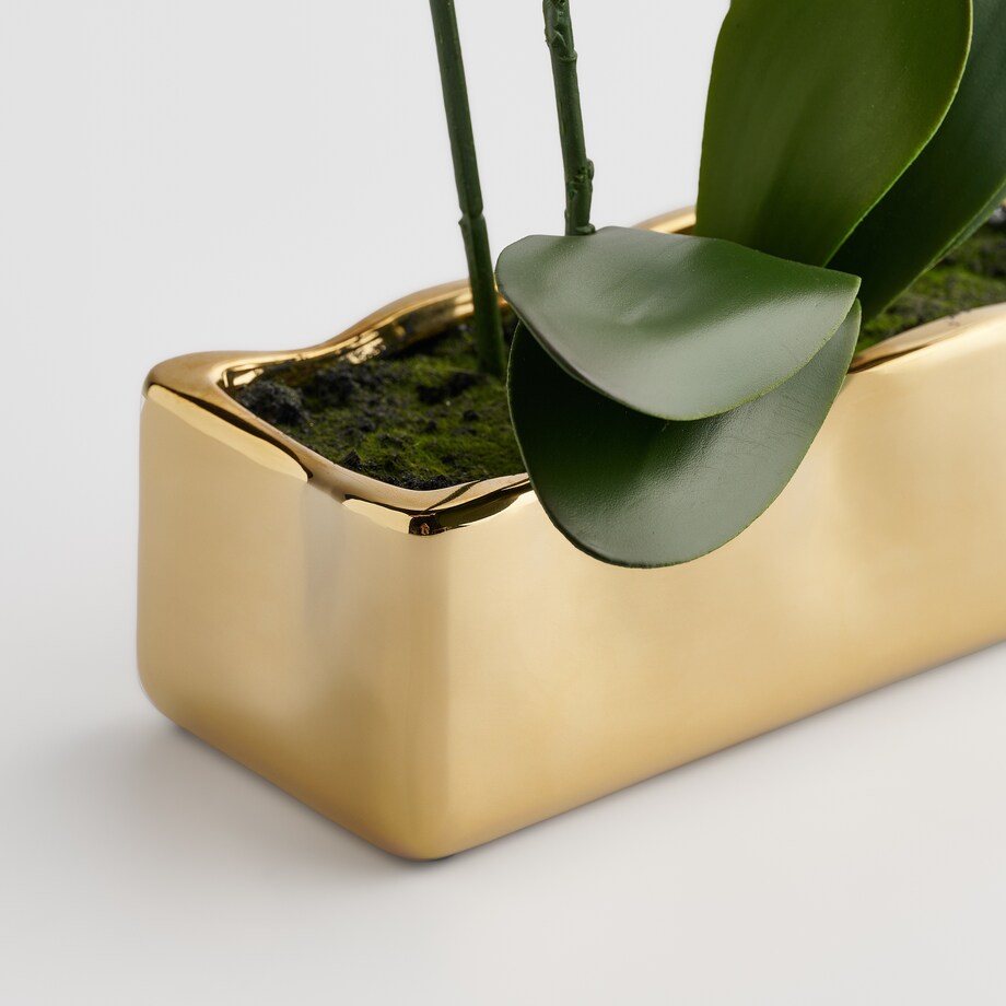 Stroik Orchianum z motywem roślinnym