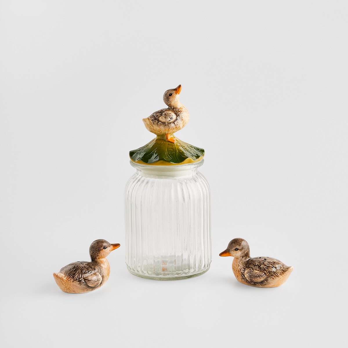 Pojemnik Duck z motywem zwierzęcym