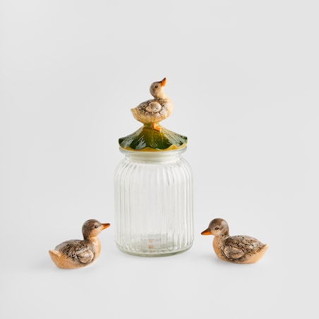 Pojemnik Duck z motywem zwierzęcym