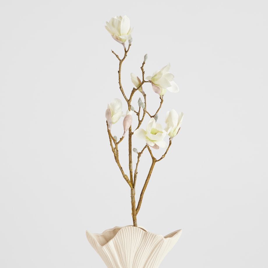 Kwiat Magnoso