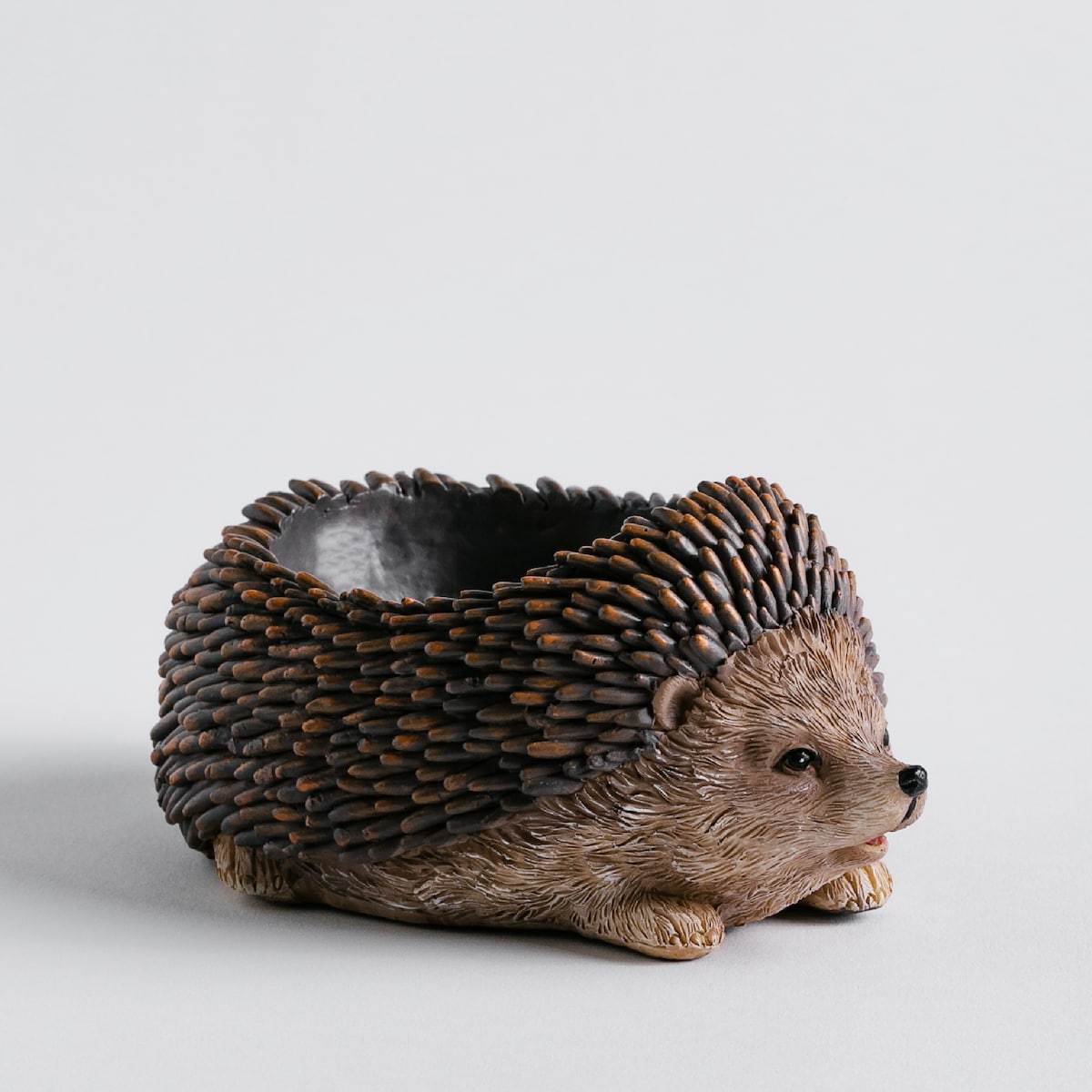 Misa Dekoracyjna Hoogos