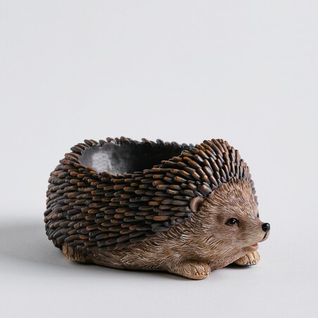 Misa Dekoracyjna Hoogos