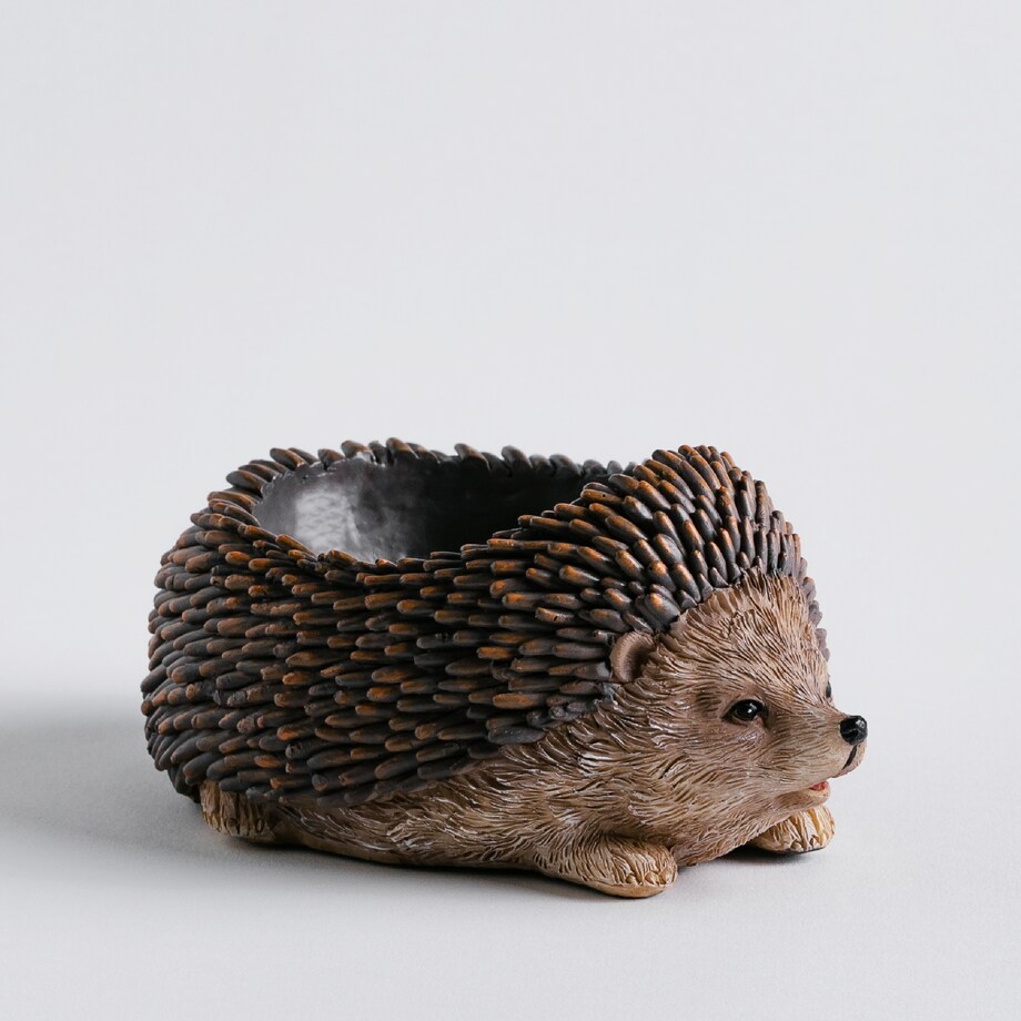 Misa Dekoracyjna Hoogos