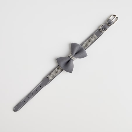 Obroża dla zwierząt Astri