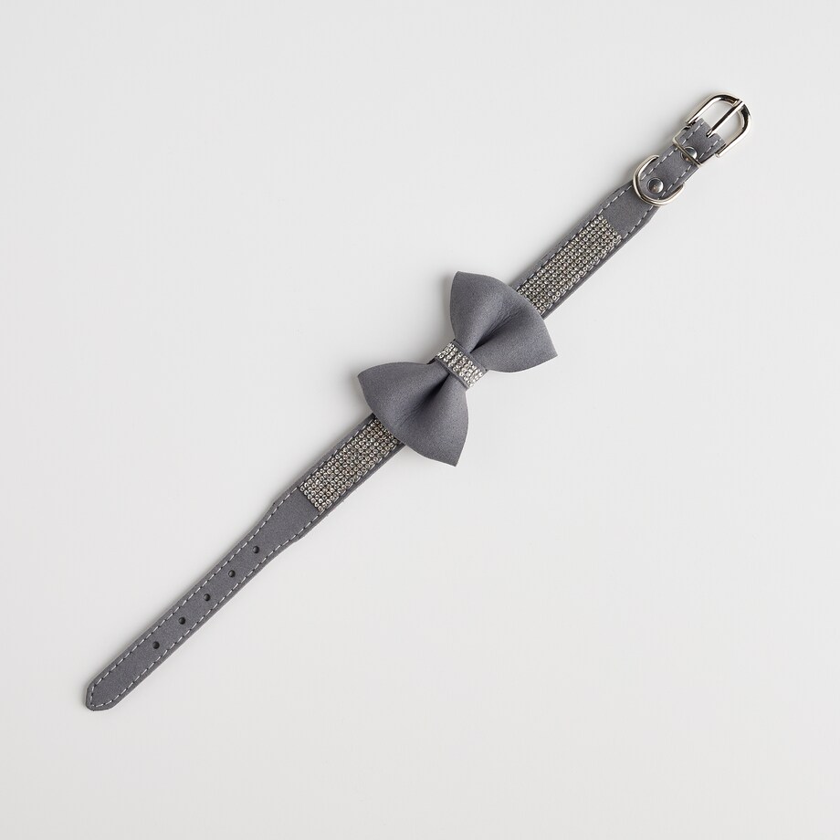 Obroża dla zwierząt Astri