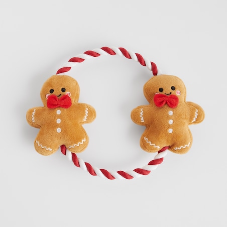 Zabawka Dla Zwierzaka Ginger double