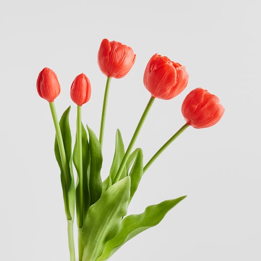 Bukiet Tulipanis