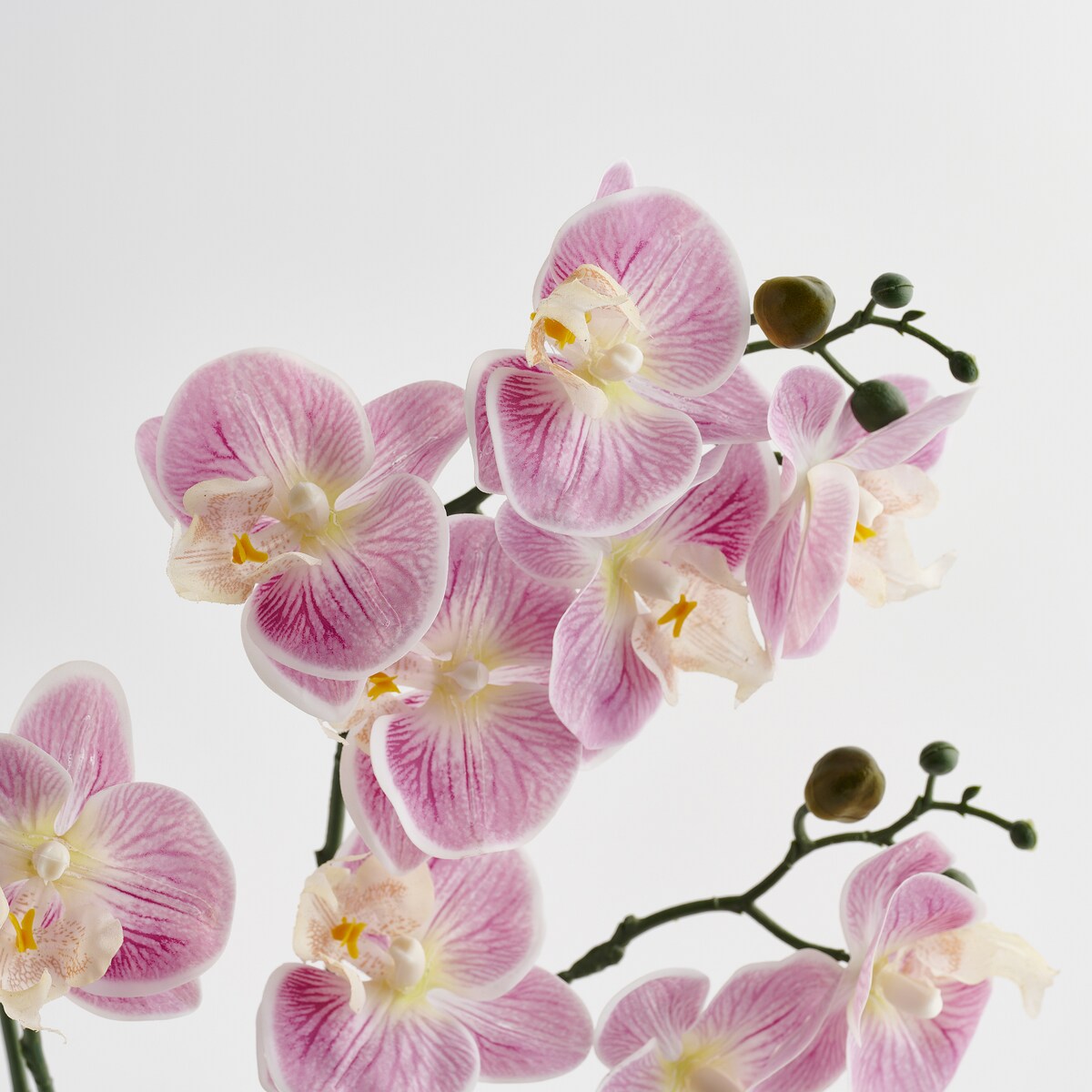 Stroik Orchianum z motywem roślinnym