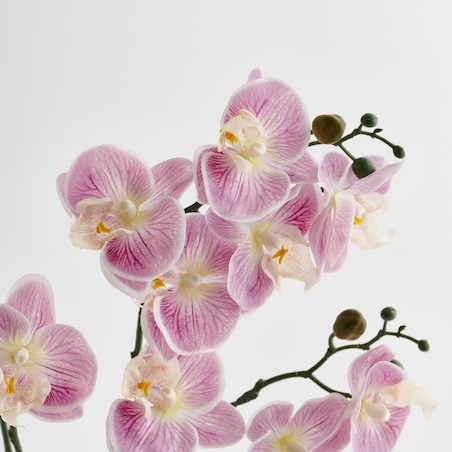 Stroik Orchianum z motywem roślinnym