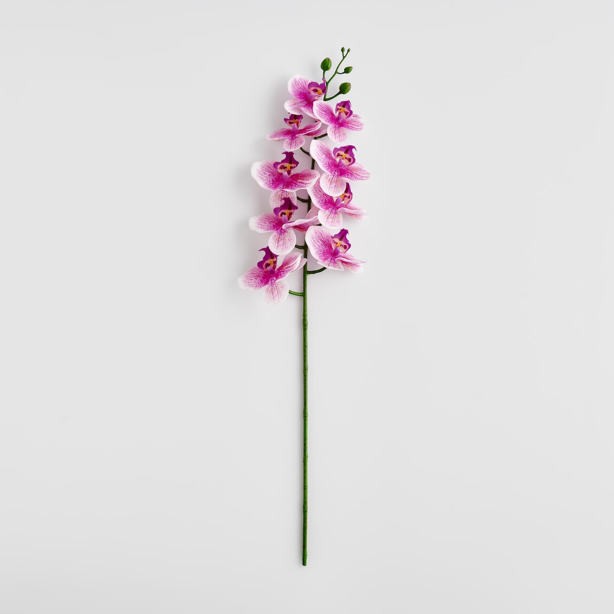 Kwiat Orchstem z motywem roślinnym