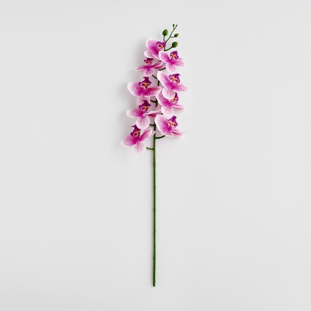 Kwiat Orchstem z motywem roślinnym