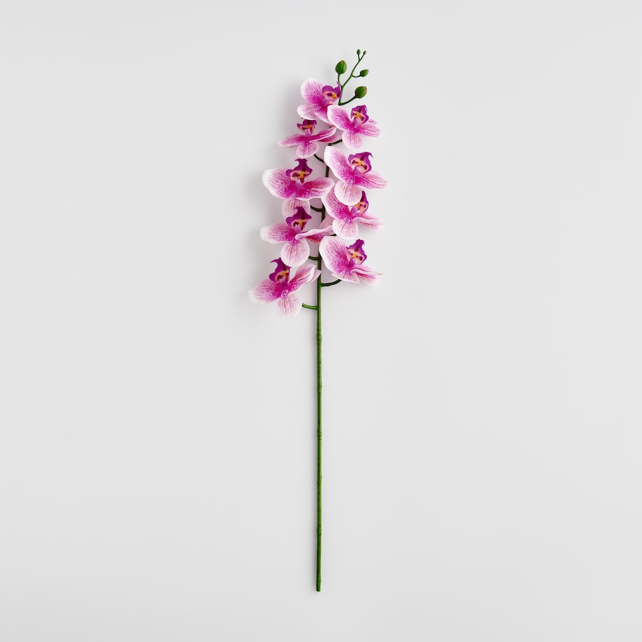 Kwiat Orchstem z motywem roślinnym