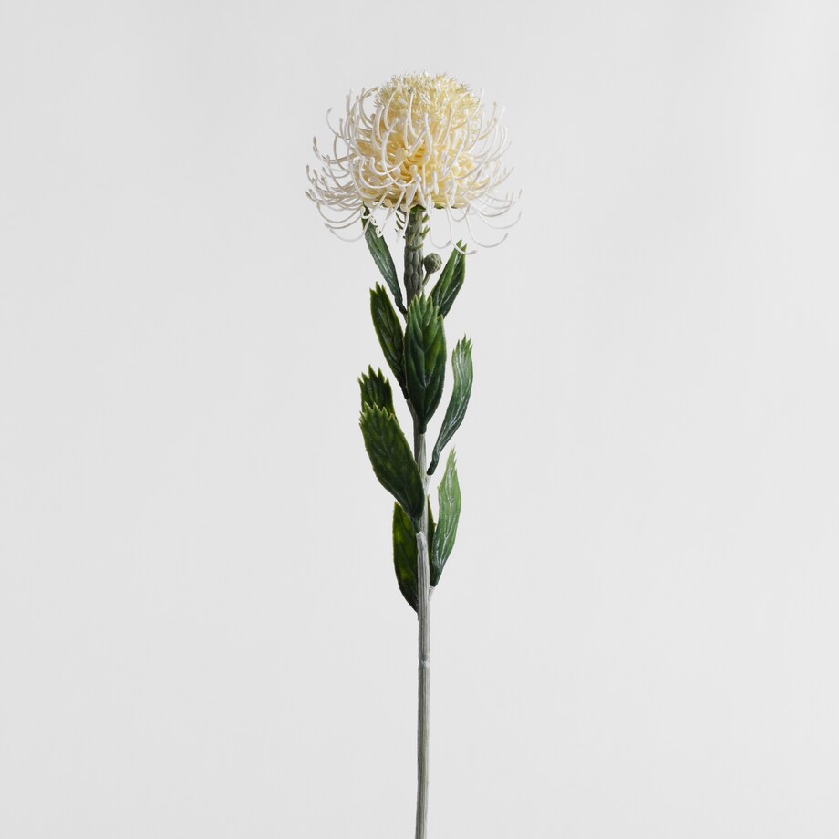 Flower Iridia 