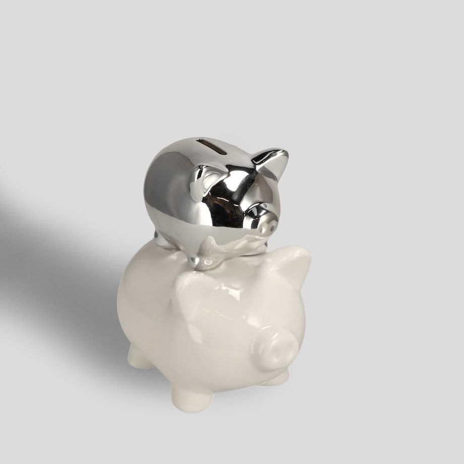 Skarbonka Theirmoney