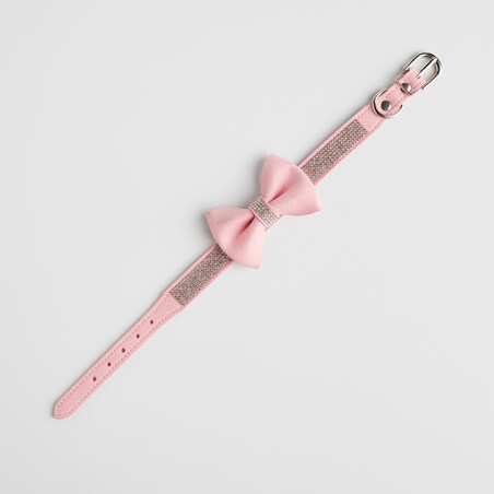 Obroża dla zwierząt Astri