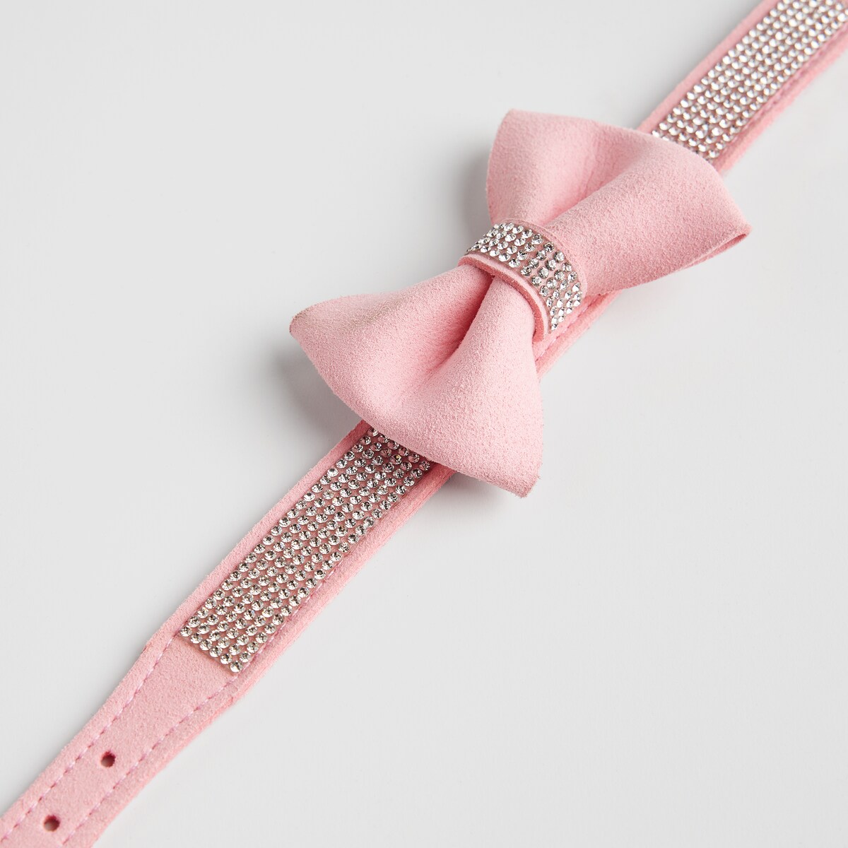 Obroża dla zwierząt Astri