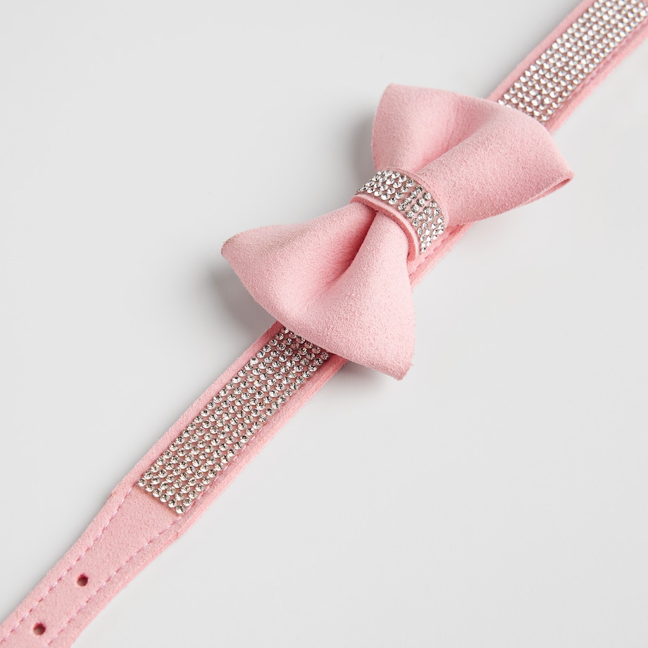 Obroża dla zwierząt Astri