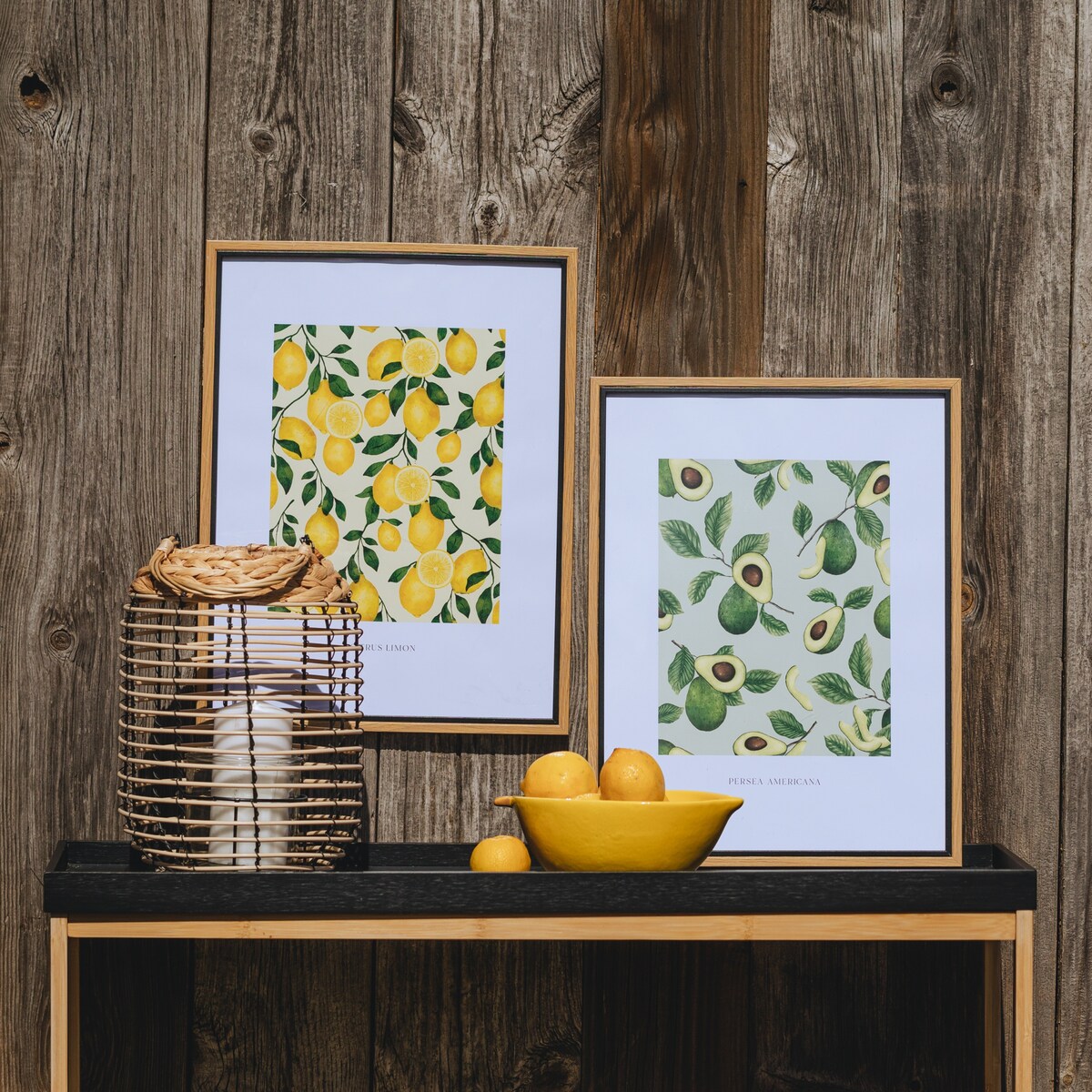 Zestaw Plakatów Fruiti