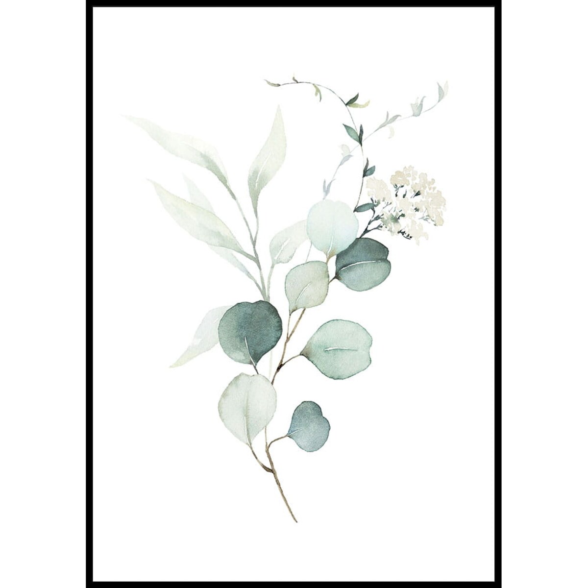 plakat eukaliptus gałązka 30x40 cm