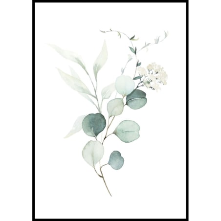 plakat eukaliptus gałązka 30x40 cm
