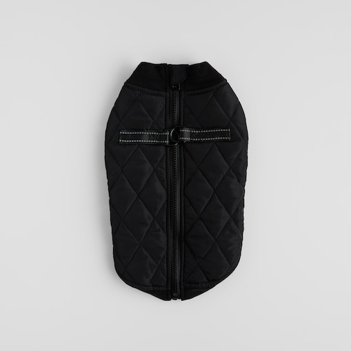 Ubranko Dla Zwierzaka Celio