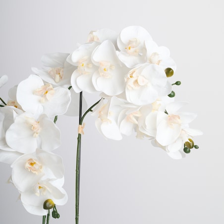 Stroik Orchianum big z motywem roślinnym