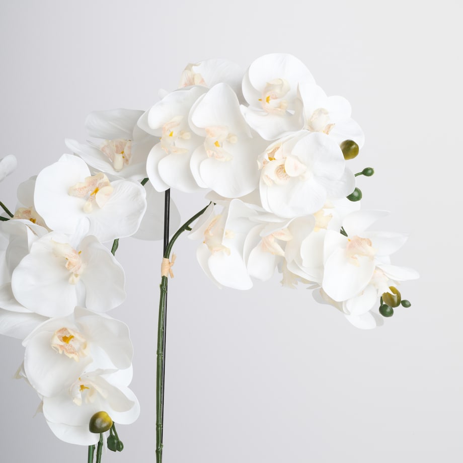 Stroik Orchianum big z motywem roślinnym