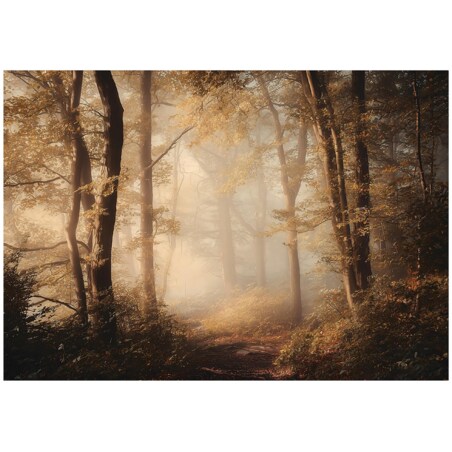 Fototapeta Do Sypialni Salonu Na Flizelinie Las Natura Brązowy 300x210