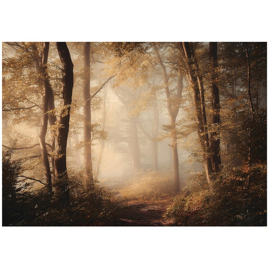 Fototapeta Do Sypialni Salonu Na Flizelinie Las Natura Brązowy 300x210