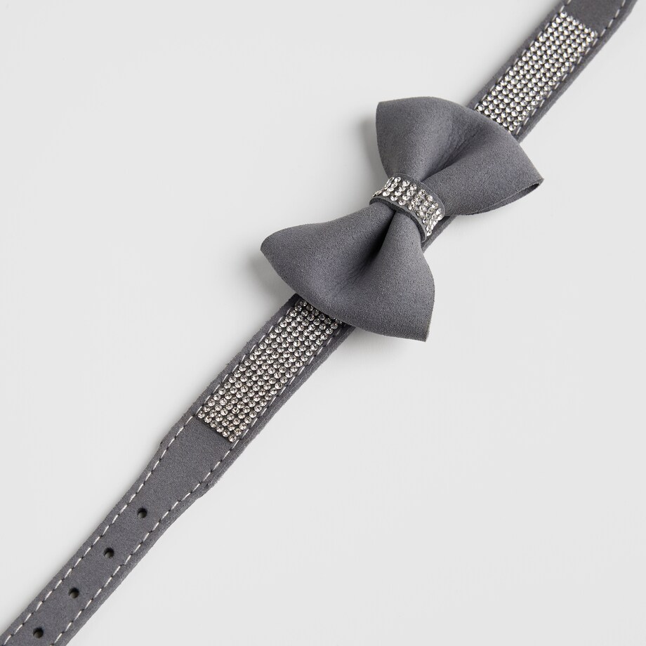 Obroża dla zwierząt Astri