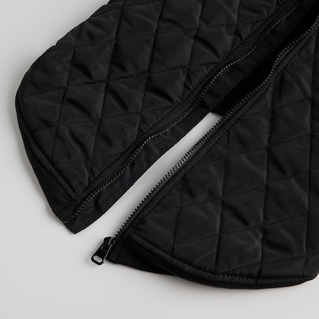 Ubranko Dla Zwierzaka Celio