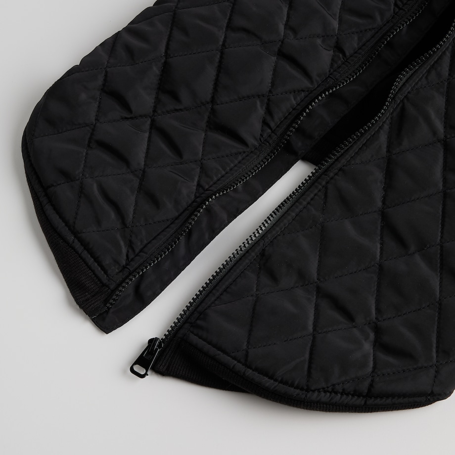 Ubranko Dla Zwierzaka Celio