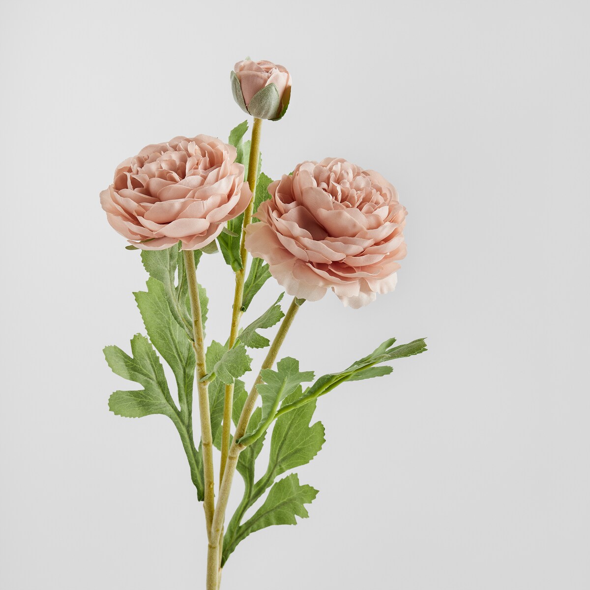 Kwiat Ramoso z motywem kwiatowym