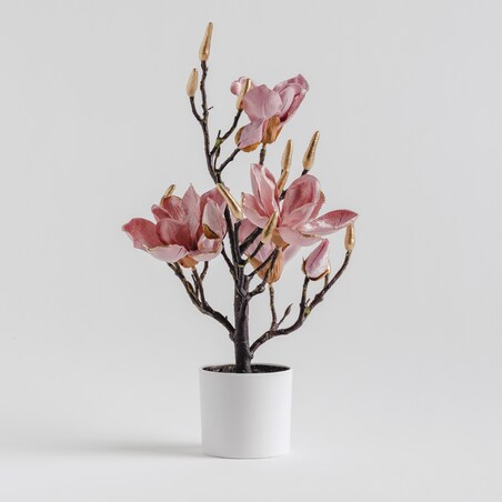Centrepiece Magnotree Small 