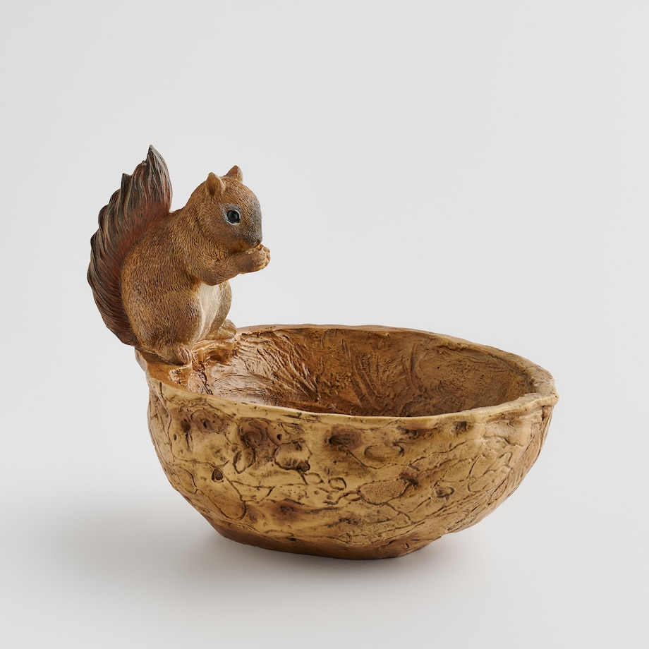 Misa Dekoracyjna Squireli