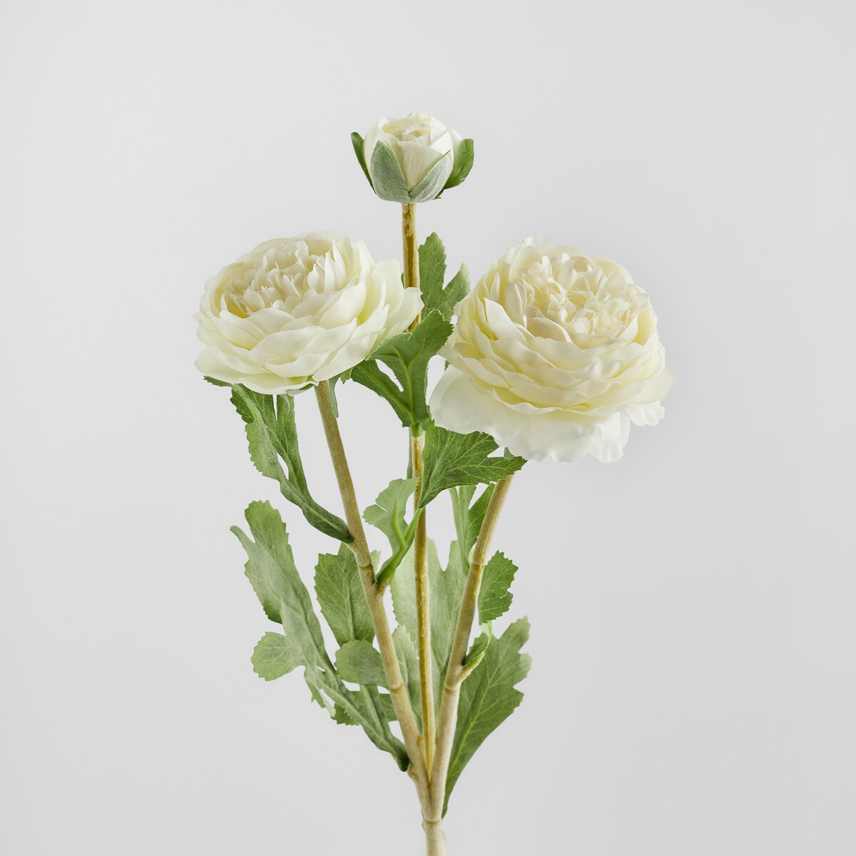 Kwiat Ramoso z motywem kwiatowym