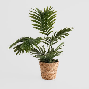 Stroik Vimeso z motywem roślinnym