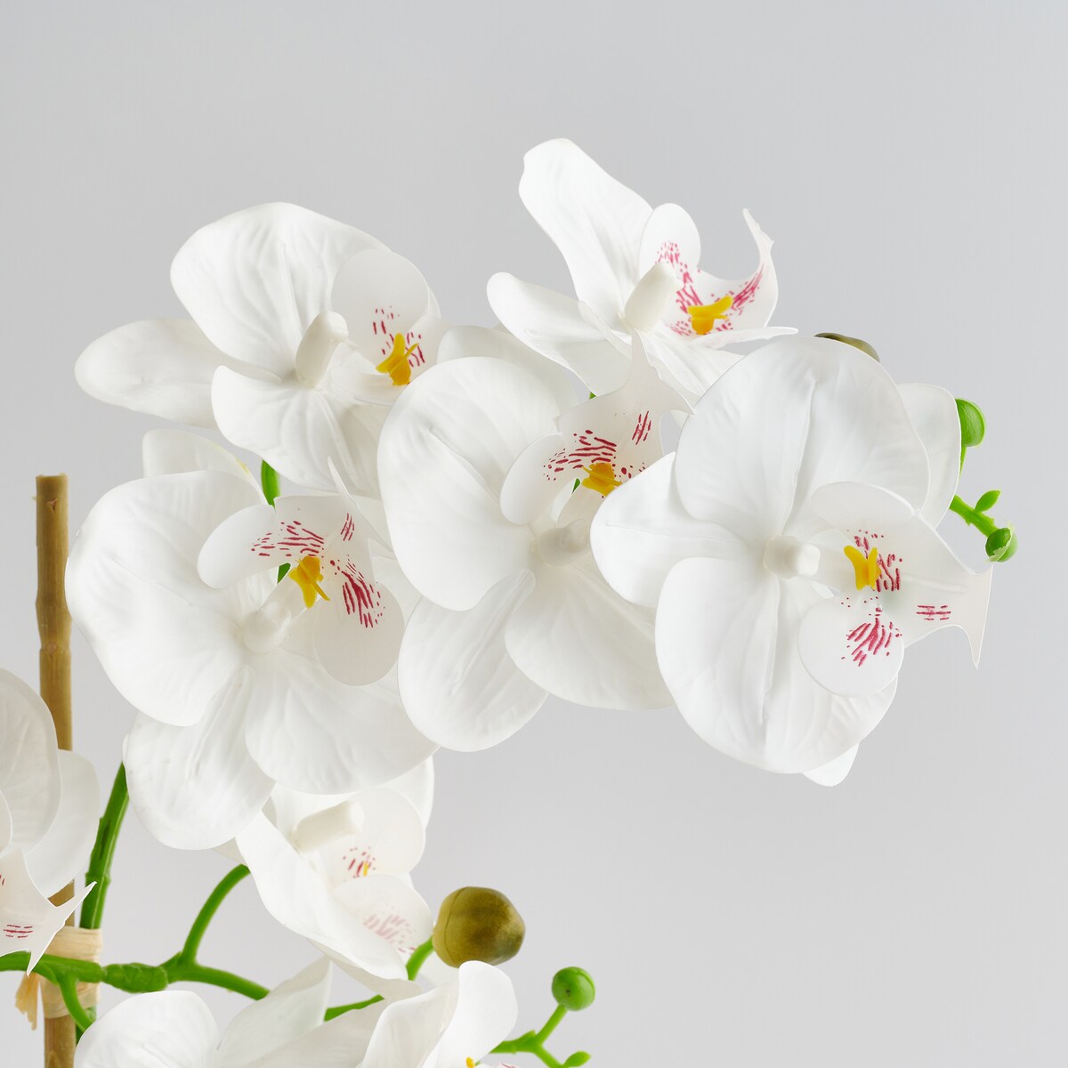 Sztuczne kwiaty w doniczce Orchibitto new