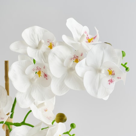Sztuczne kwiaty w doniczce Orchibitto new