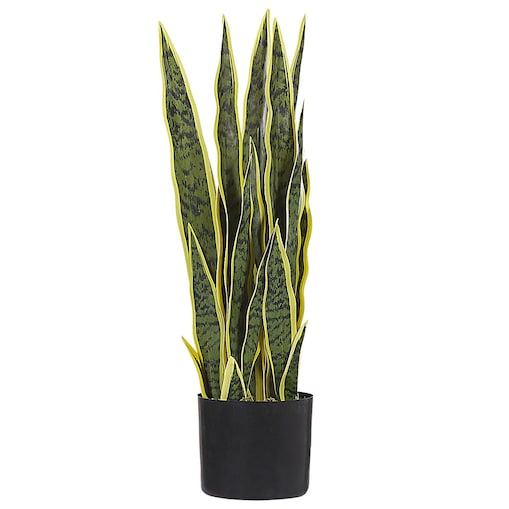 Sztuczna roślina SNAKE PLANT
