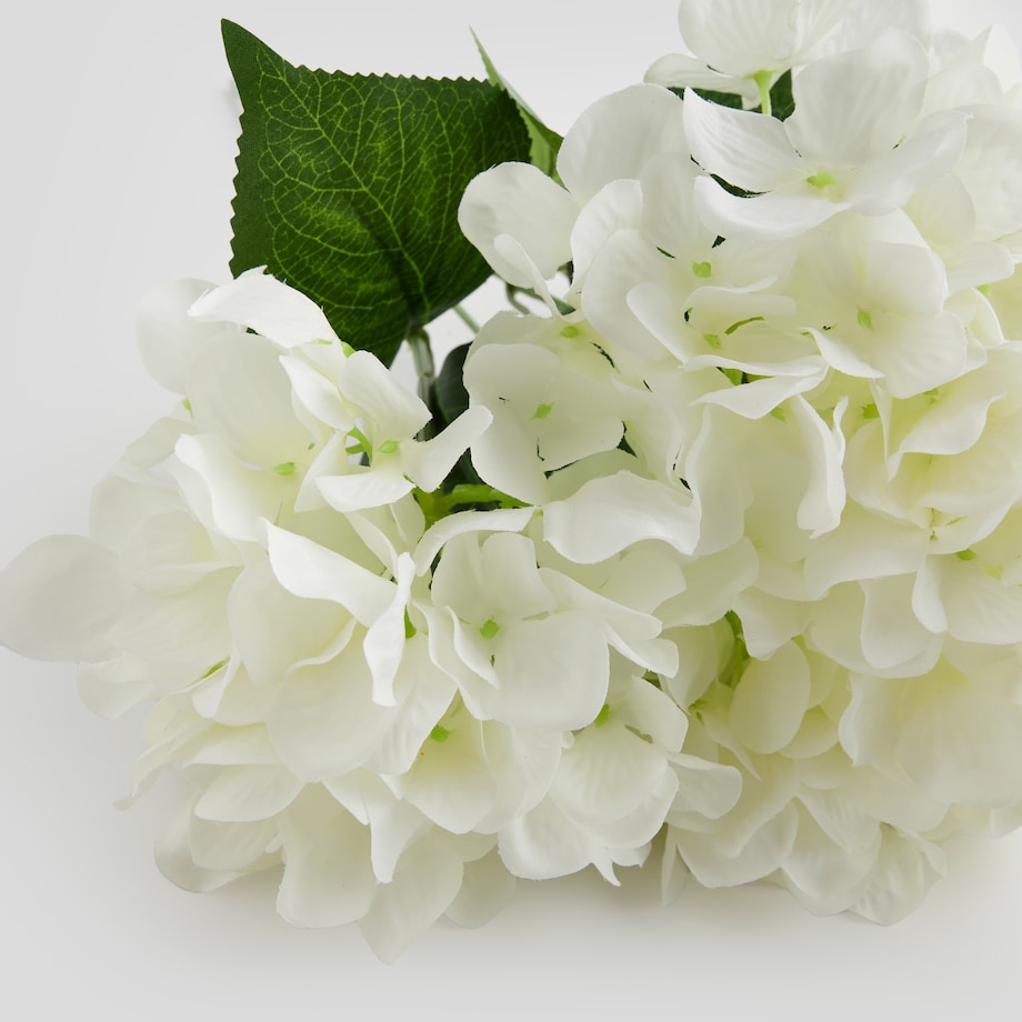 Bukiet Hortensio z motywem roślinnym