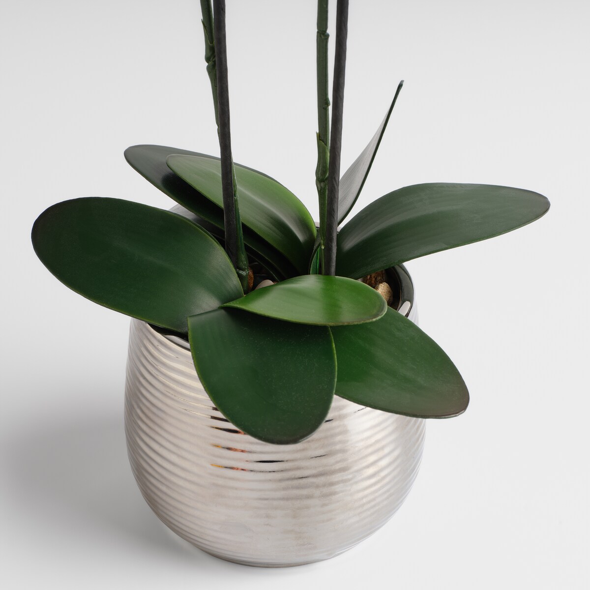 Stroik Orcheniso z motywem roślinnym