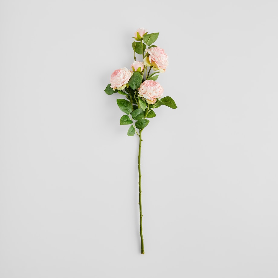 Kwiat Peoni z motywem kwiatowym