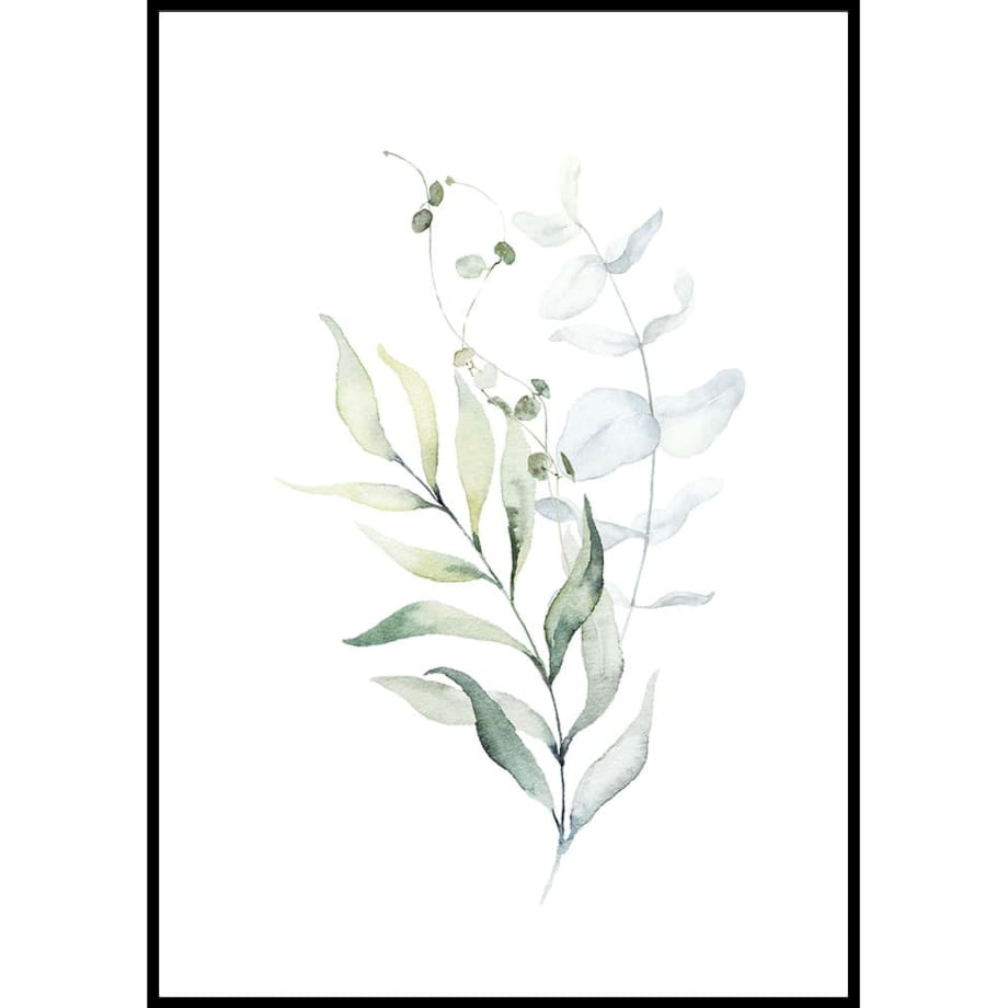 plakat oliwka gałązka 30x40 cm