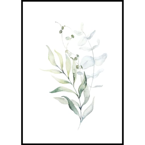 plakat oliwka gałązka 30x40 cm