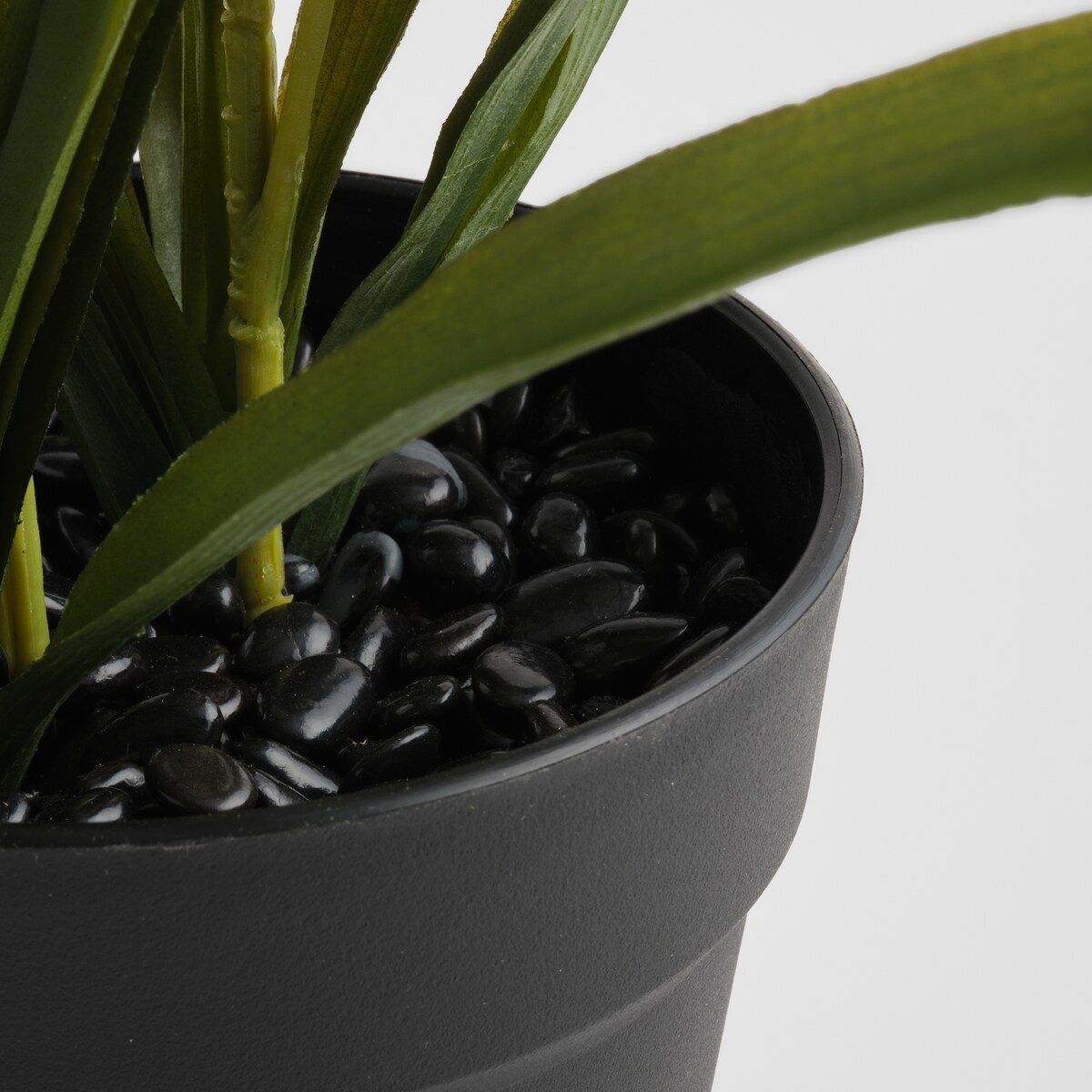 Stroik Lunelia z motywem roślinnym